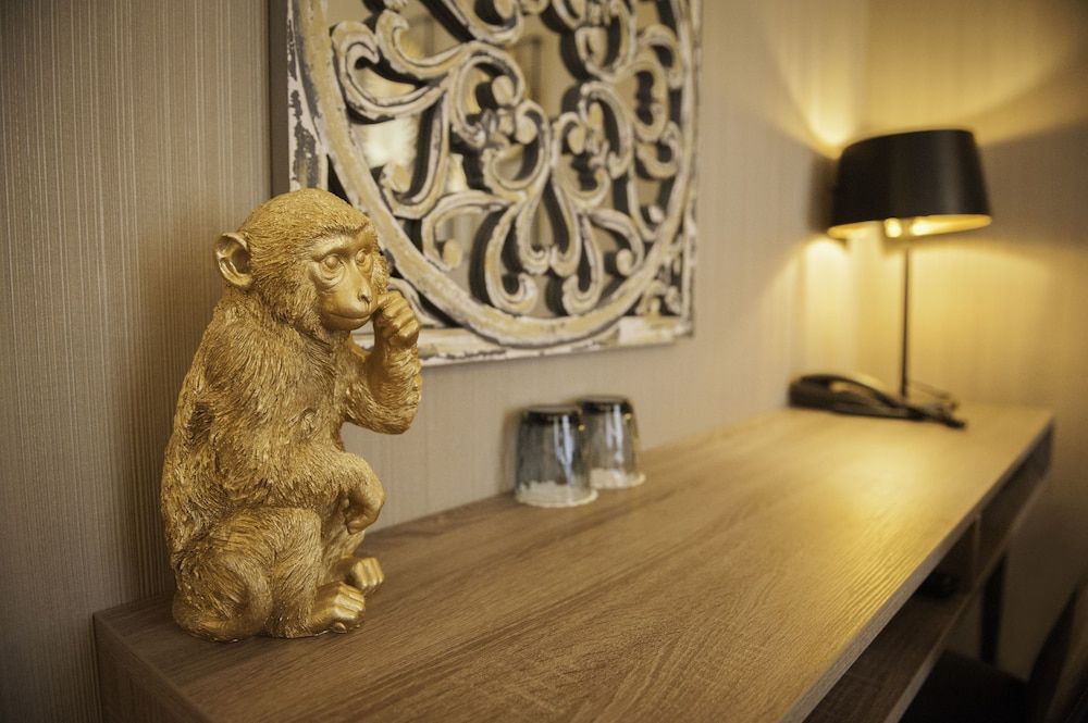 Hotel Acacia Superior Double Room 10