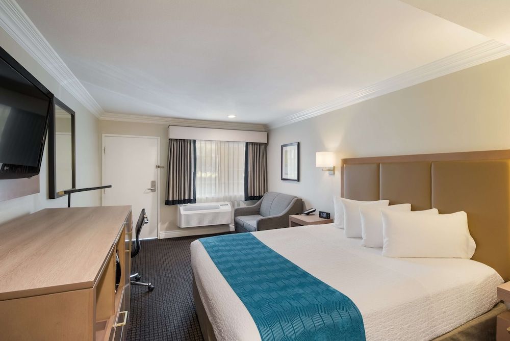 Standard Room, 1 King Bed, Non Smoking, Refrigerator & Microwave