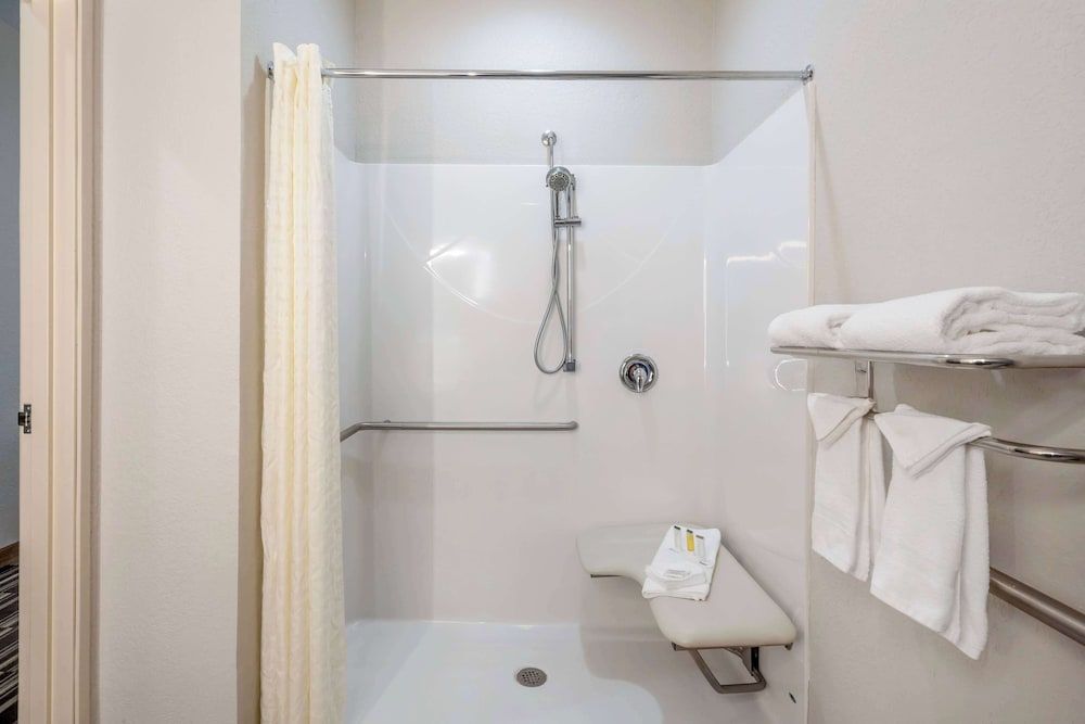 Room, 1 Queen Bed, Accessible, Non Smoking (Mobility/Hearing, roll-in shower)