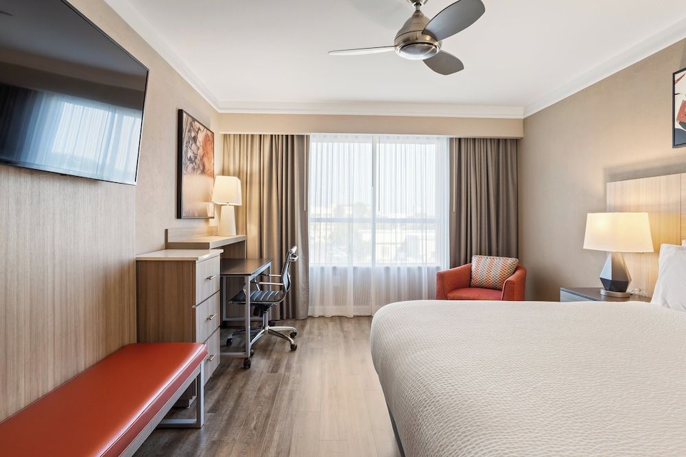 Standard Room, 1 King Bed, Accessible (Roll-In Shower)