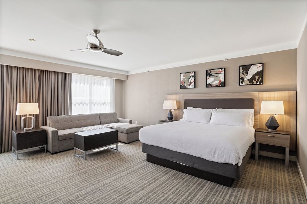 Suite, 1 King Bed