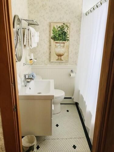 Apartment Suite (Pet Friendly)