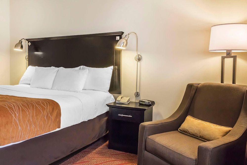 Room, 1 King Bed, Accessible, Non Smoking