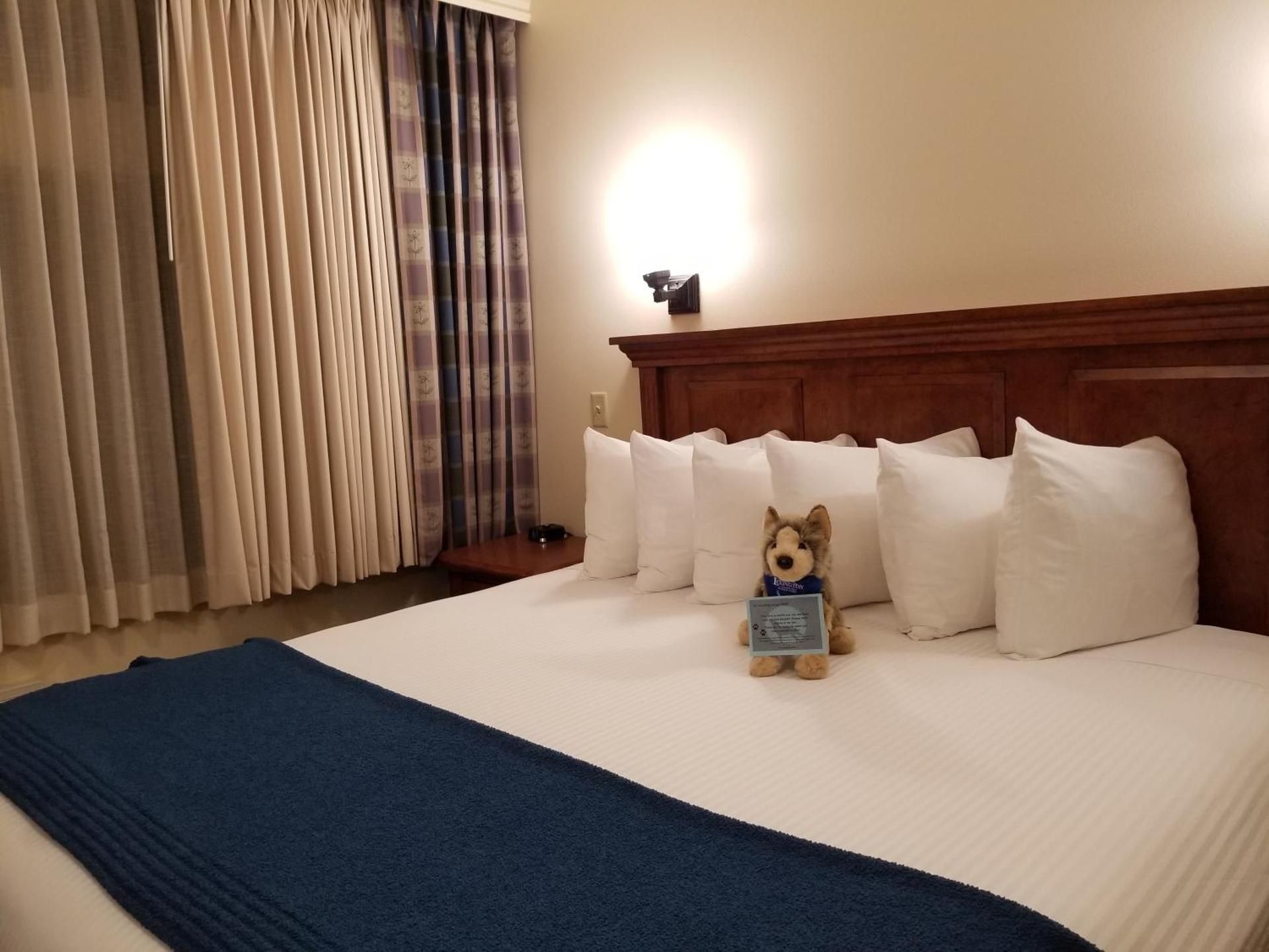 Interior King Room