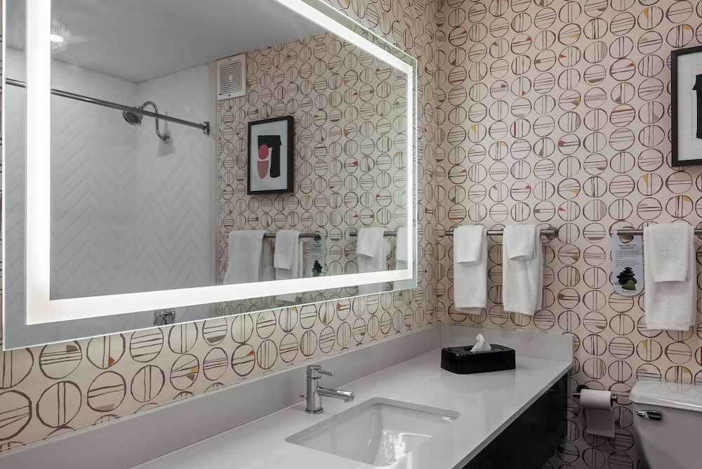 Holiday Inn Niagara Falls State Park Entry by IHG Standard Room, 1 King Bed, Accessible, Non Smoking (Communications, Accessible Tub) 5