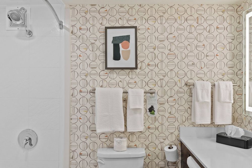 Holiday Inn Niagara Falls State Park Entry by IHG Standard Room, 1 King Bed, Accessible, Non Smoking (Communications, Accessible Tub) 7