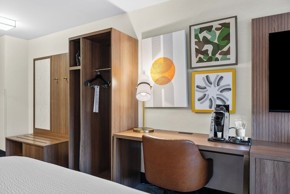 Holiday Inn Niagara Falls State Park Entry by IHG Standard Room, 1 King Bed, Accessible, Non Smoking (Communications, Accessible Tub) 17