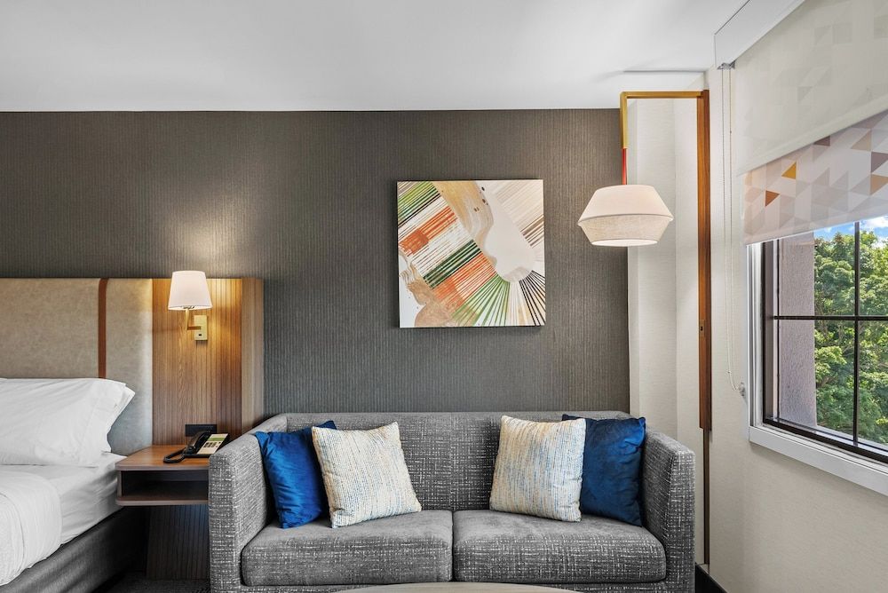 Holiday Inn Niagara Falls State Park Entry by IHG Standard Room, 1 King Bed, Accessible, Non Smoking (Communications, Accessible Tub) 17