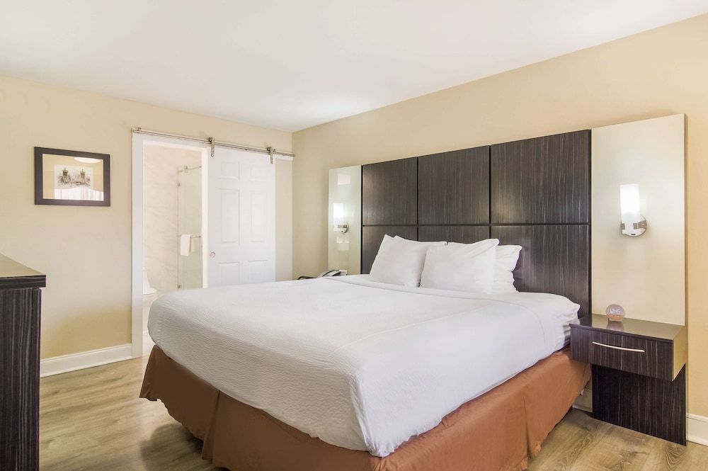 Standard Room, 1 King Bed, Non Smoking, Refrigerator & Microwave