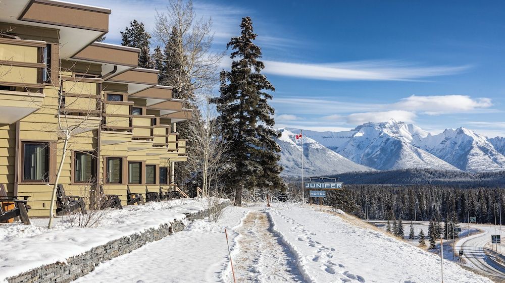 undefined The Juniper Hotel 4