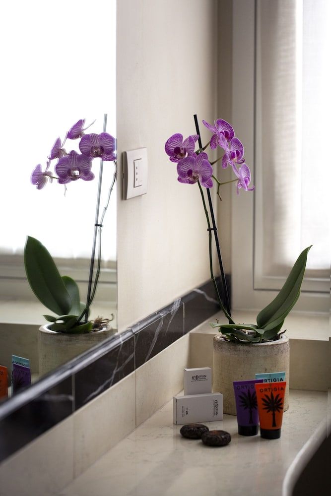 undefined Hotel Colombia 7