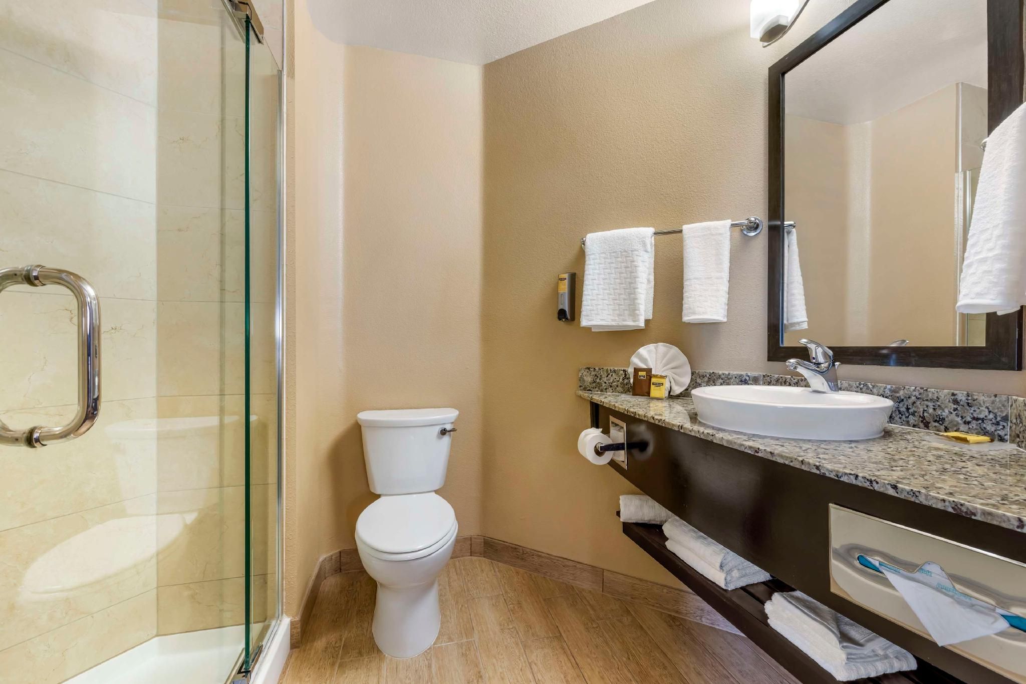 Best Western Plus Oceanside Palms 1 King Bed, Nonsmoking 2