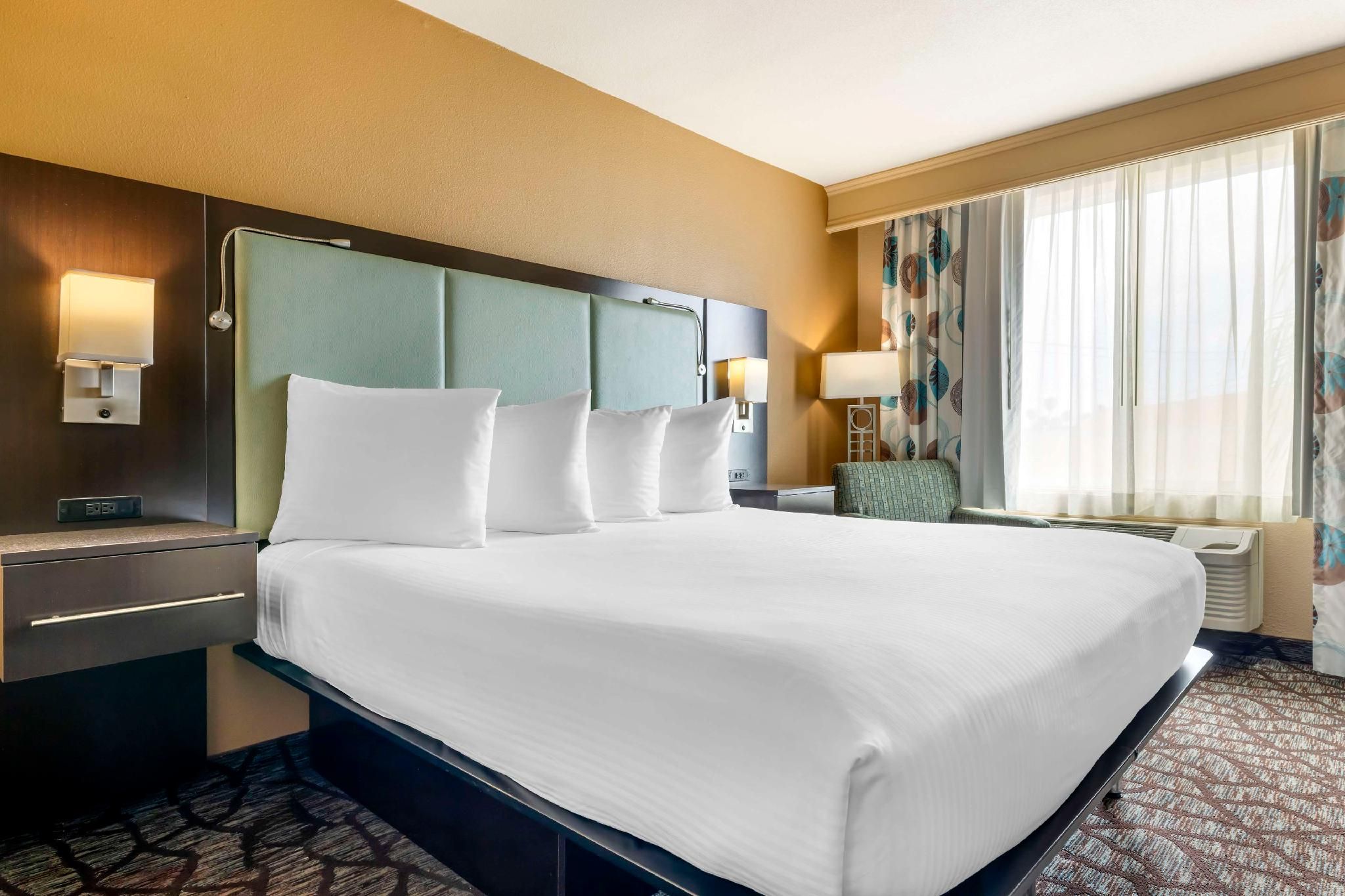 Accessibility - 1 King, Roll-in Shower, Nonsmoking