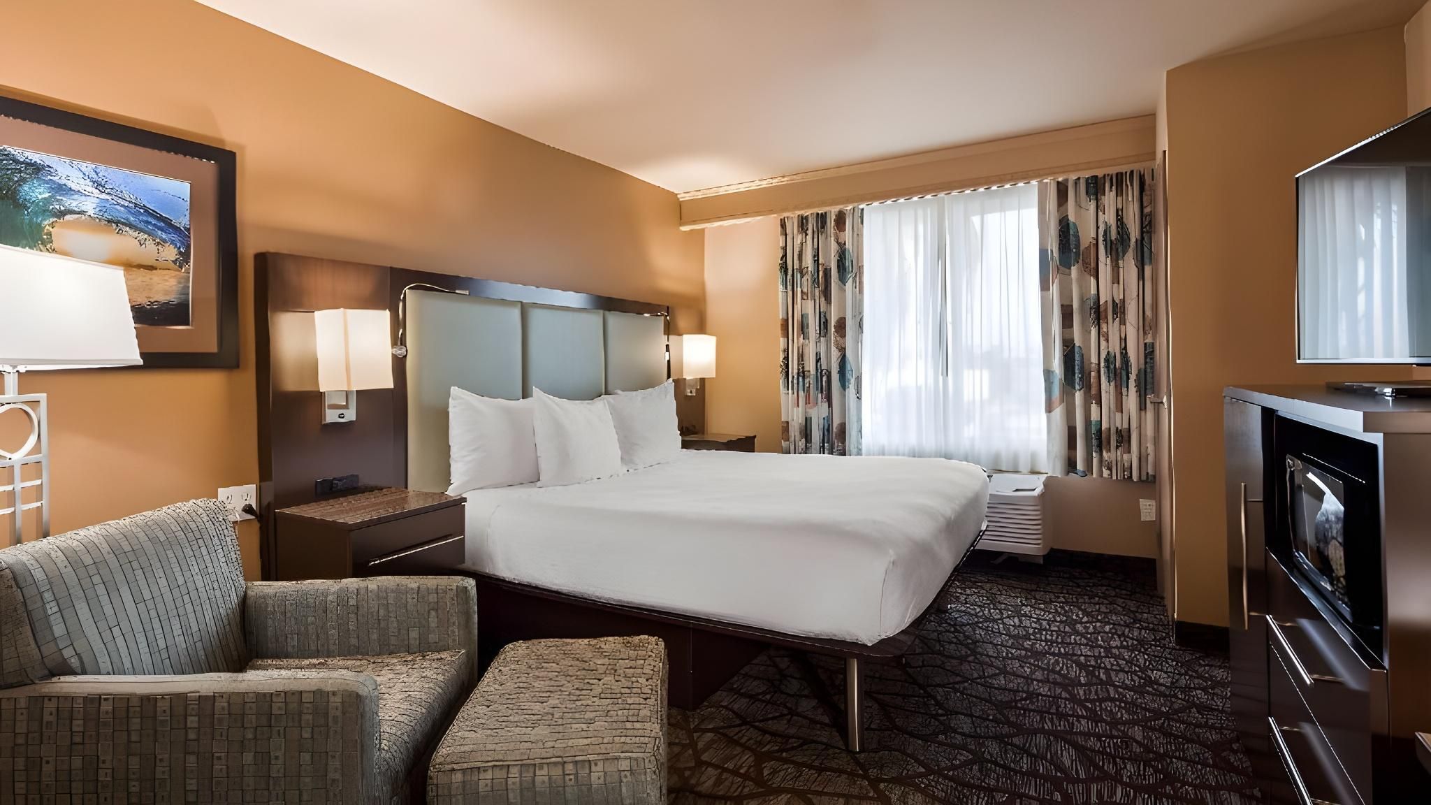 Accessibility - 1 King, Roll-in Shower, Nonsmoking