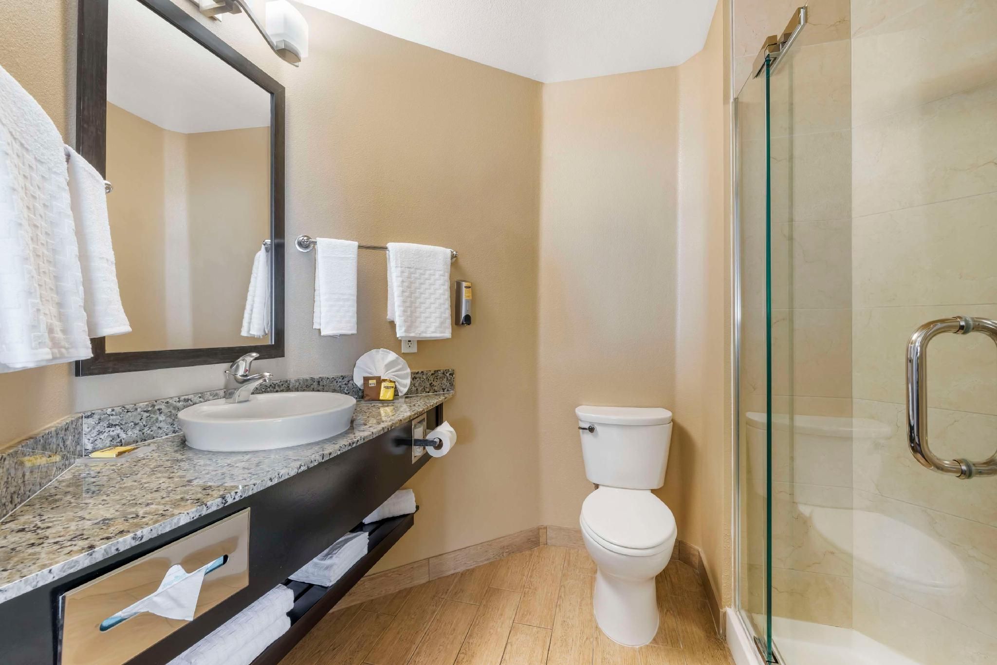 Best Western Plus Oceanside Palms Accessibility - 2 Queens, Roll-in Shower, Nonsmoking 3