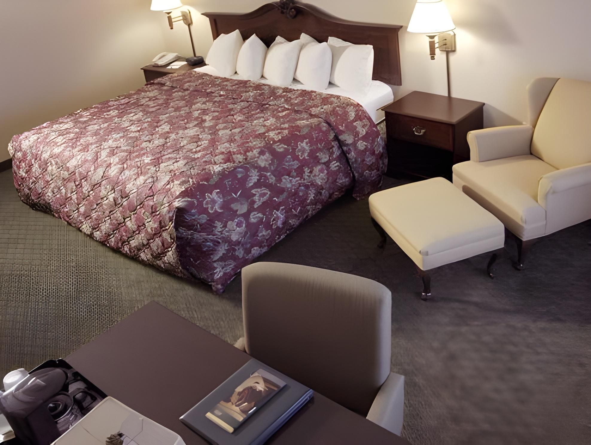 1 King Bed, Suite, Nonsmoking, Accessible