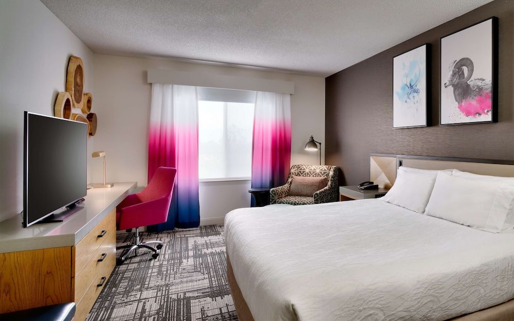 One king bed evolution room