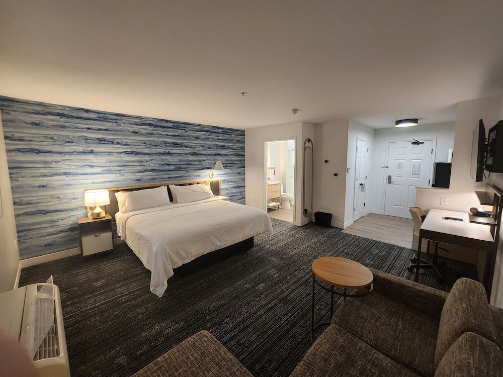 Studio, 1 King Bed with Sofa bed