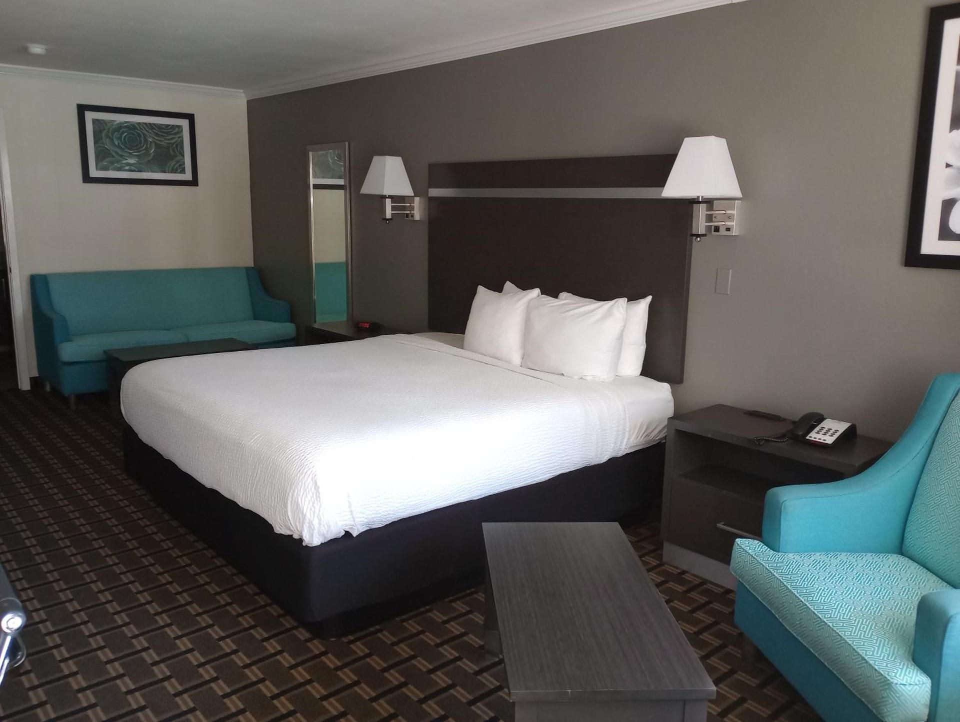 1 King Bed, Nonsmoking, Executive Room