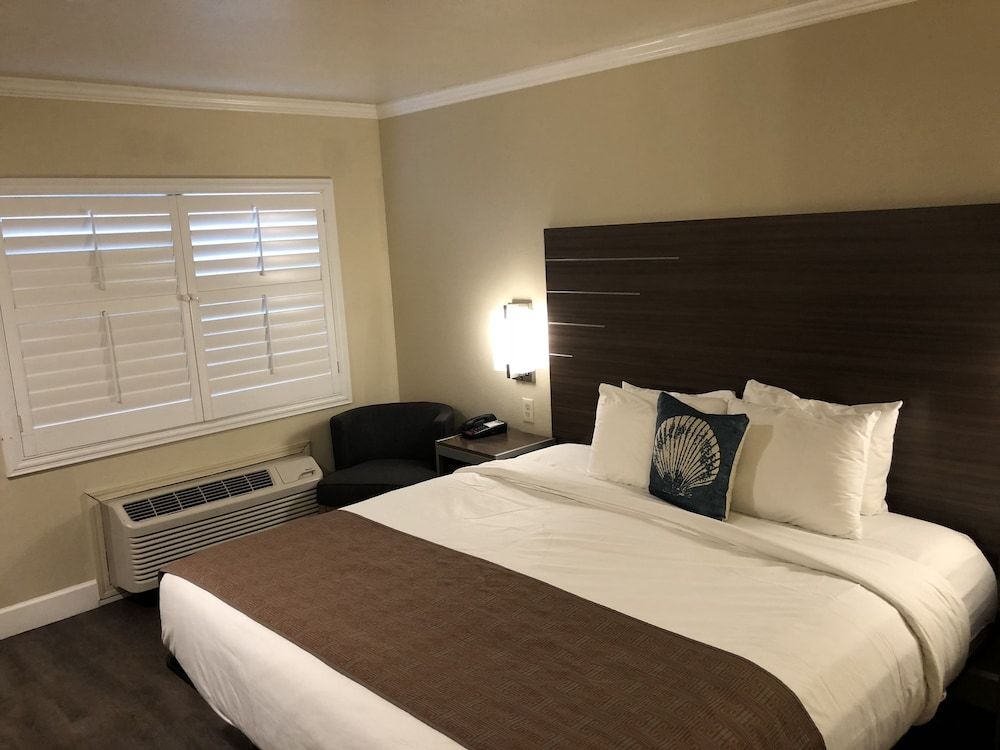 Room, 1 King Bed