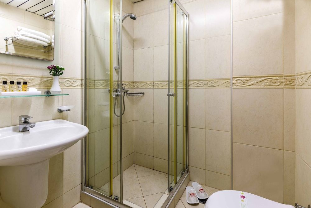 Hotel Golden Crown Standard Double or Twin Room 9