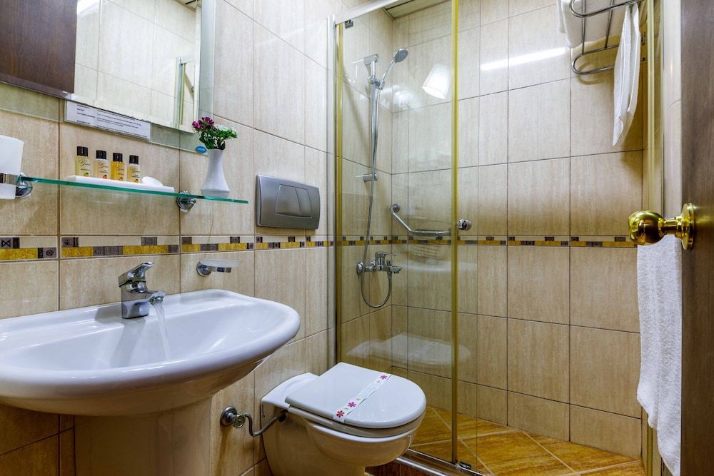 Hotel Golden Crown Standard Double or Twin Room 13