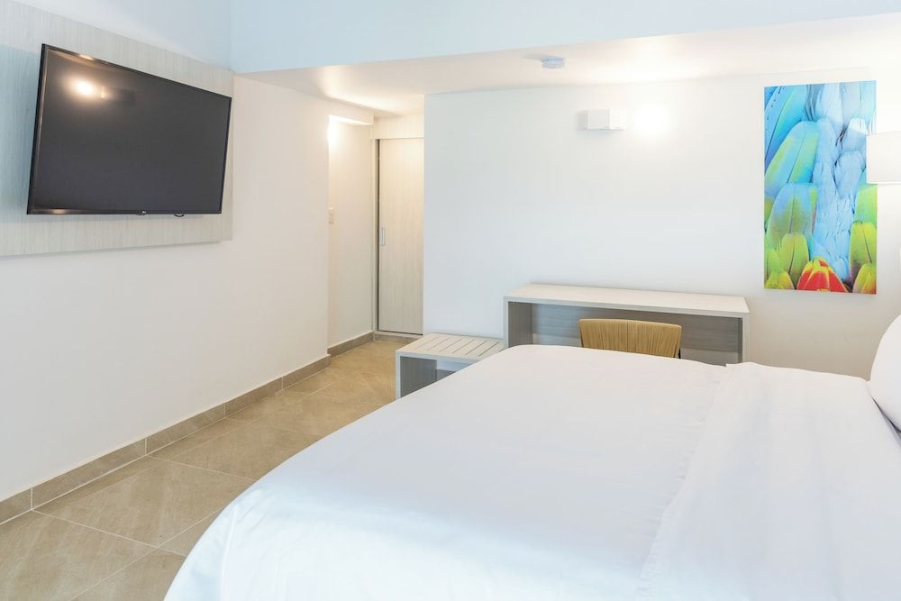 Basic Studio Suite