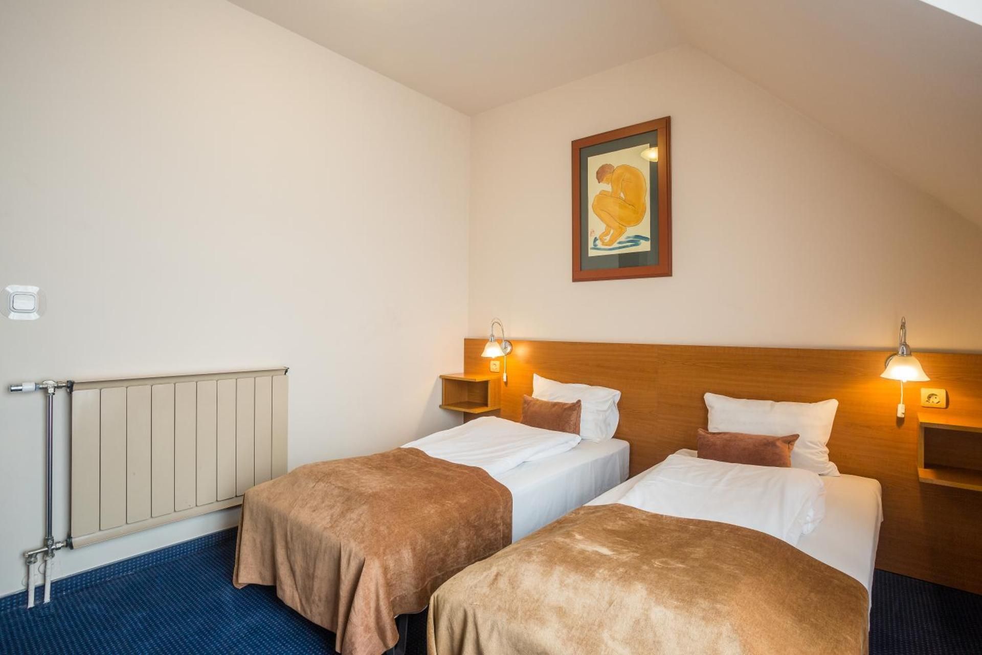 undefined Hotel Luna  Budapest 10