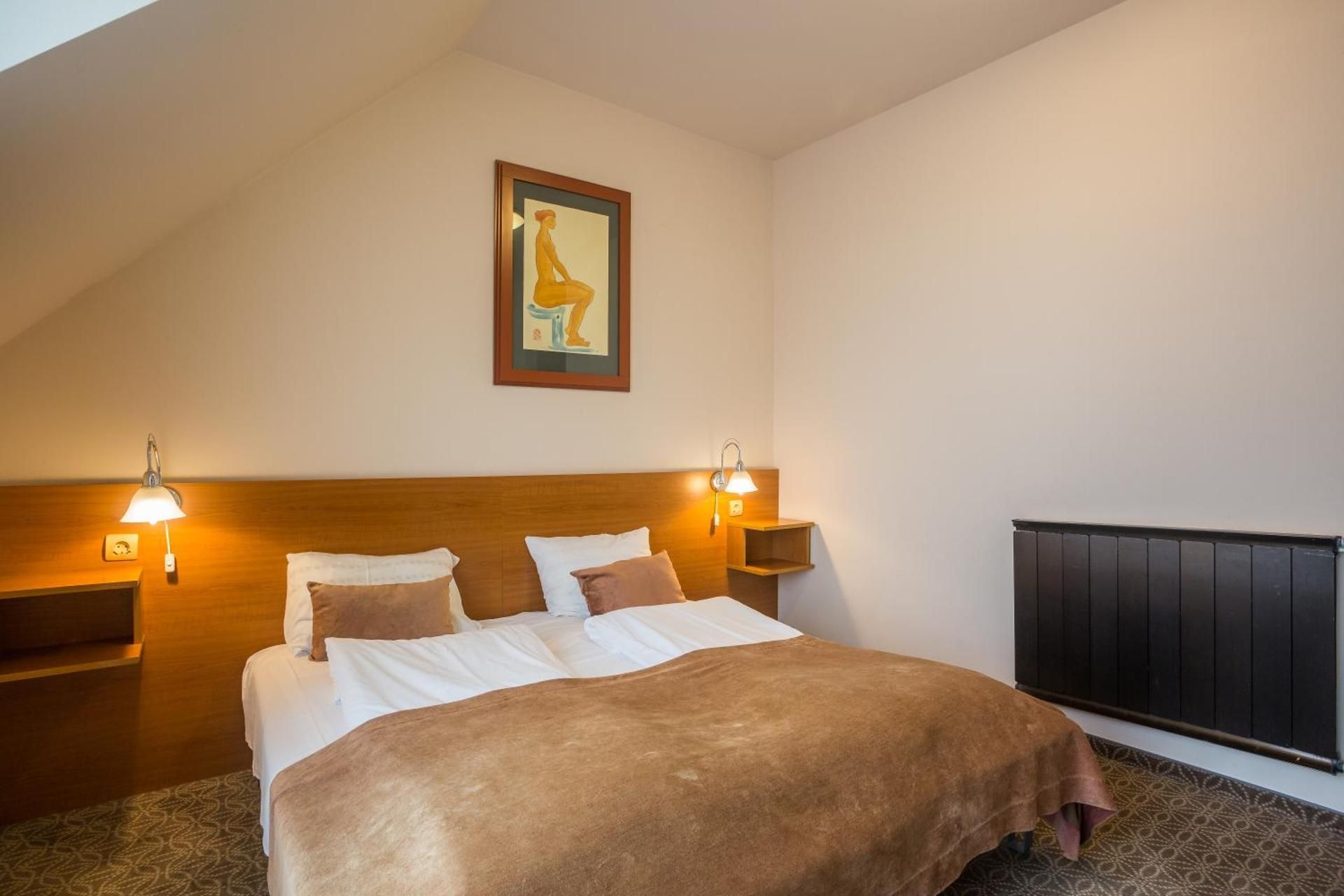 undefined Hotel Luna  Budapest 8