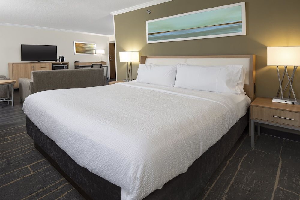 Standard Room, 1 King Bed with Sofa bed, Refrigerator