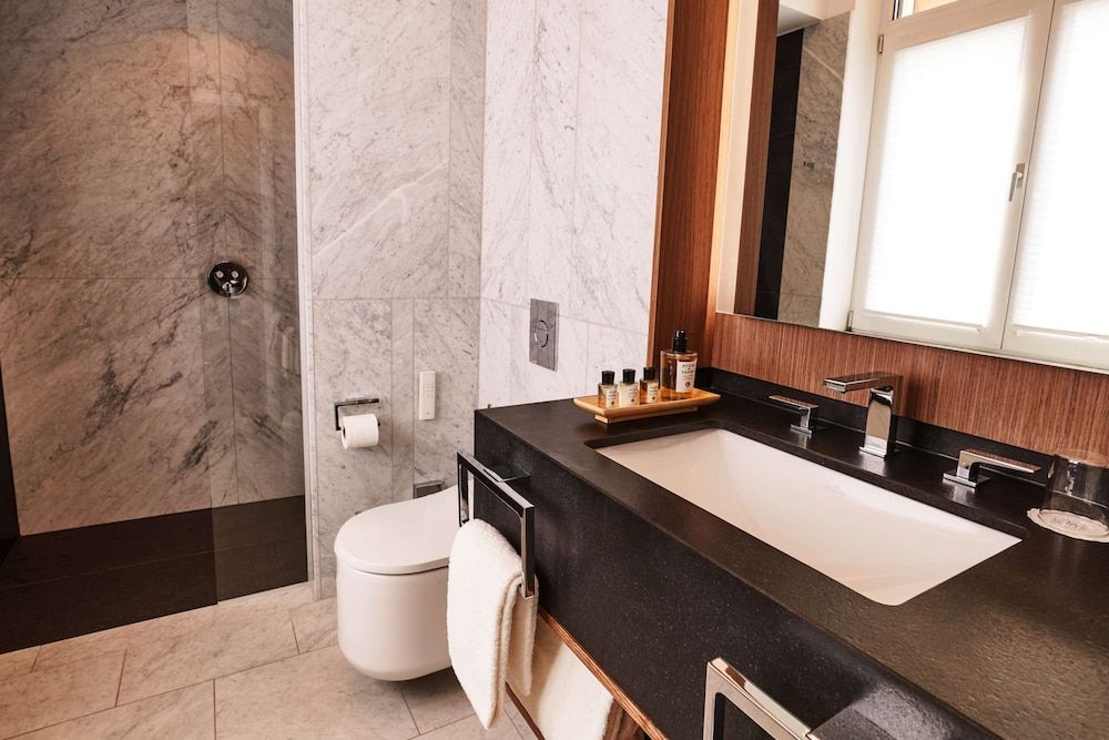 Steigenberger Icon Parkhotel Düsseldorf Deluxe Double Room 8