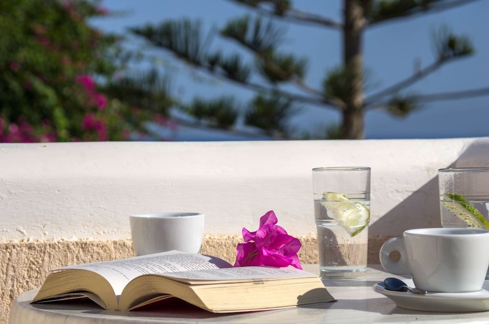 Paradise Resort Standard Room 2