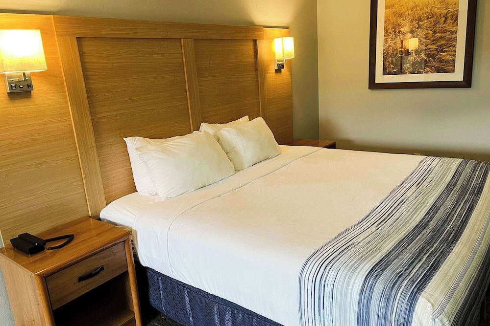 Room, 1 King Bed, Non Smoking