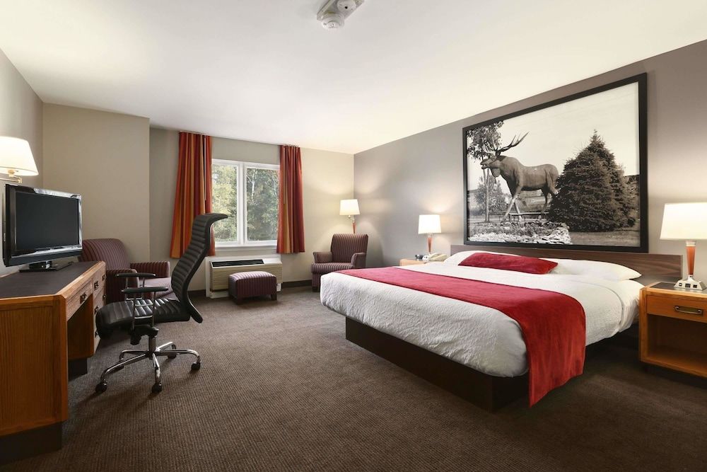 Room, 1 King Bed, Non Smoking