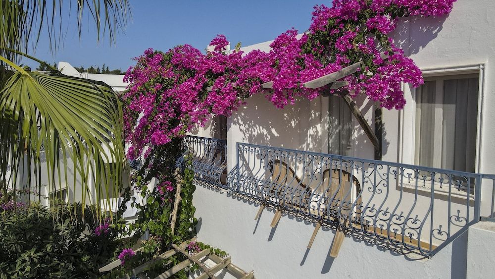 undefined Serhan Hotel 2