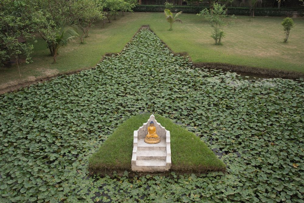 Land View from Property