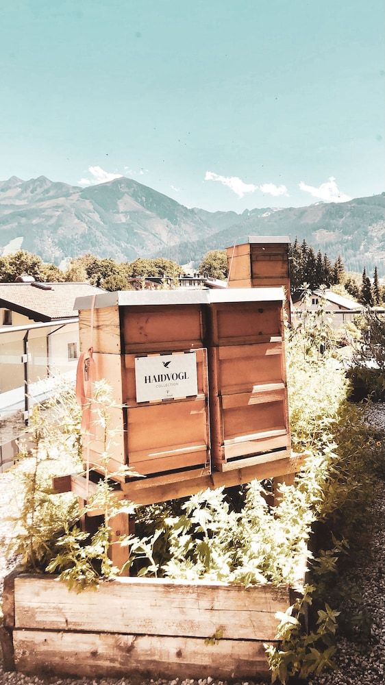 undefined HAIDVOGL MAVIDA Zell am See 7