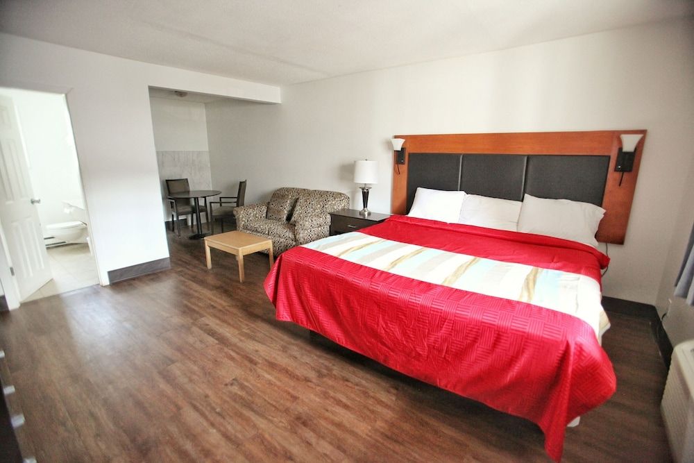 Room, 1 King Bed with Sofa bed