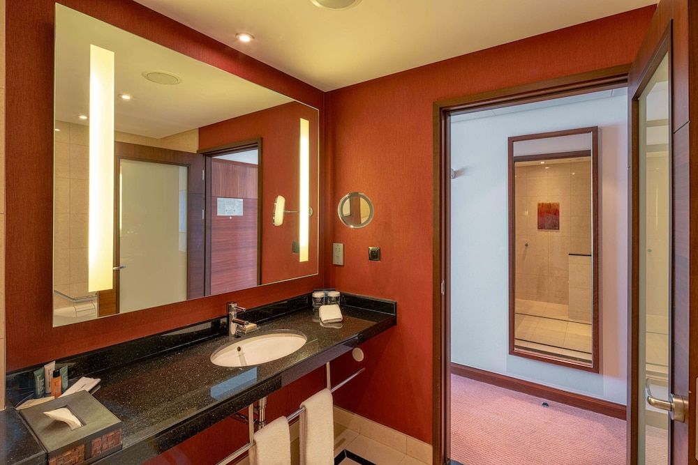 Hilton Warsaw City Room, 1 King Bed 7