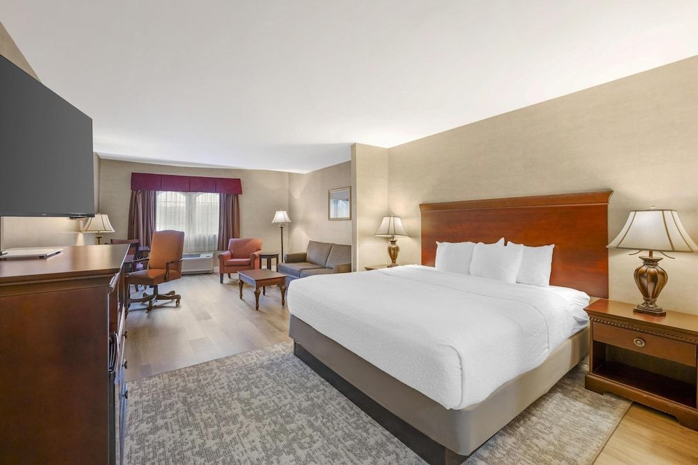Standard Room, 1 King Bed, Non Smoking (Shower Only;with Sofabed)