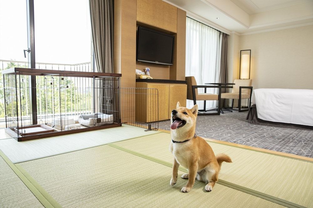 Dog Friendly Room