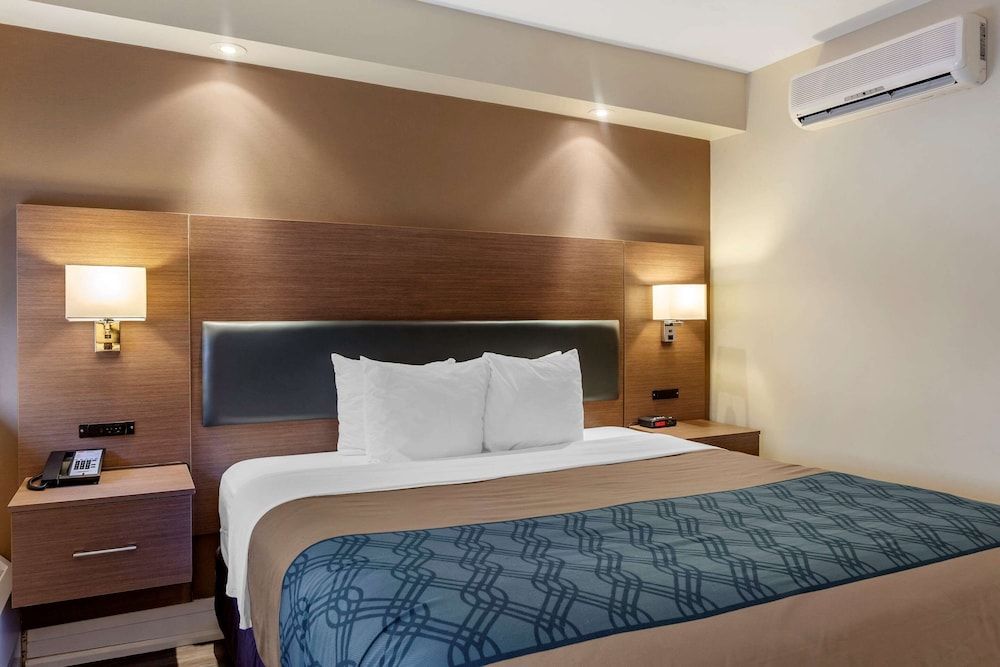 EconoLodge Downtown Toronto Standard Room, 1 King Bed, Non Smoking 4