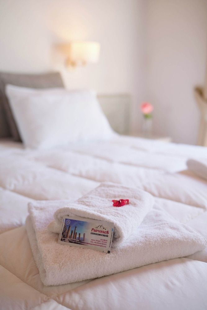 Parnassos Delphi Hotel Economy Suite, 1 Bedroom, Garden View 5