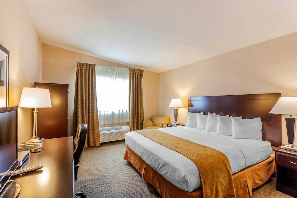 Standard Room, 1 King Bed, Non Smoking