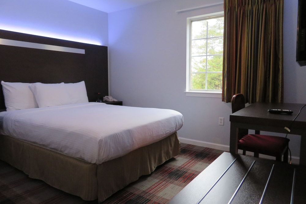 Suite, 1 Queen Bed with Sofa bed