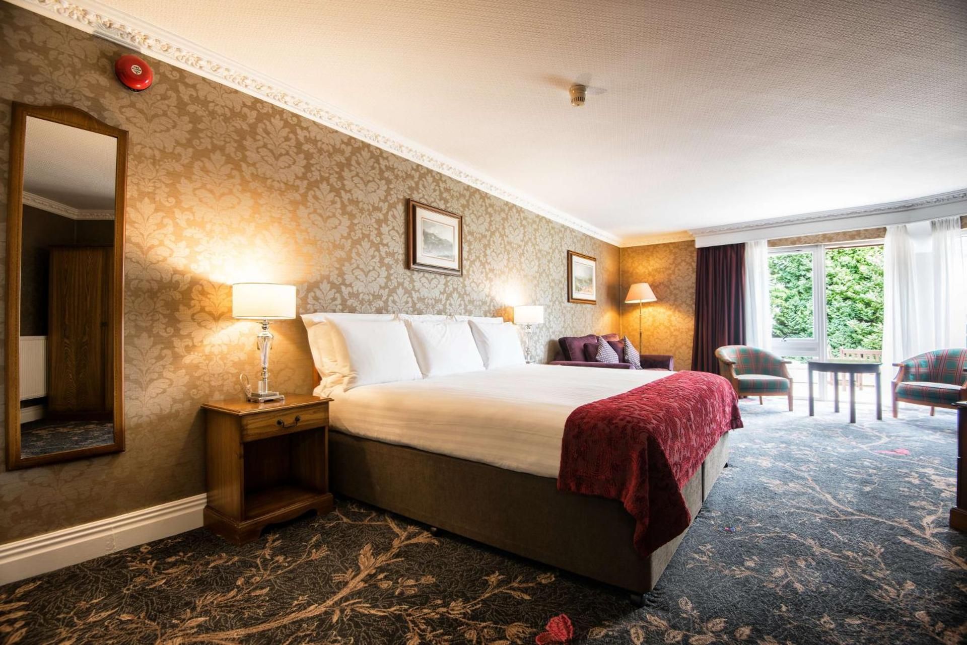 Classic Studio with One King Bed and Bunk Beds