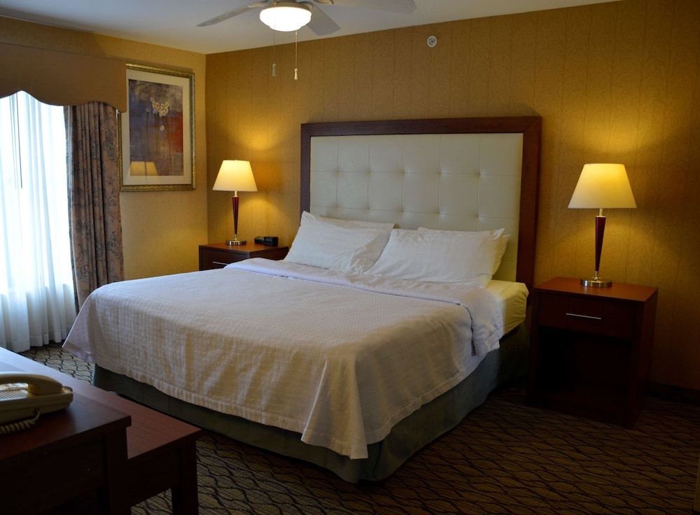 Suite, 1 King Bed with Sofa bed, Accessible (Roll-in Shower)
