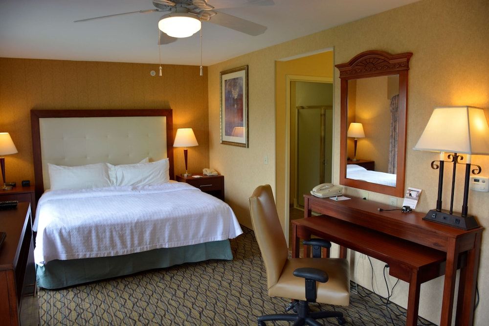 Studio Suite, 1 King Bed with Sofa bed