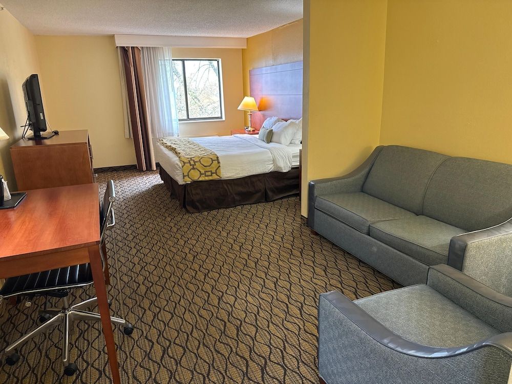 Suite, 1 King Bed, Non Smoking (One-Bedroom)