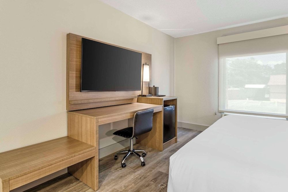 Room, 1 King Bed, Non Smoking (Transfer Shower)